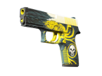 P250 | Wingshot image